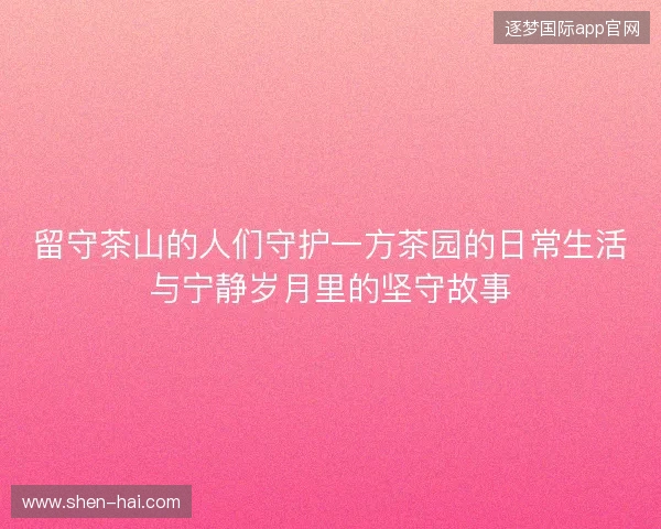 留守茶山的人们守护一方茶园的日常生活与宁静岁月里的坚守故事