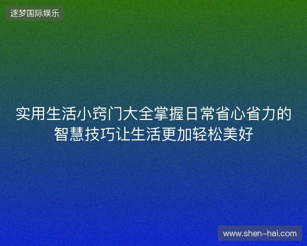 实用生活小窍门大全掌握日常省心省力的智慧技巧让生活更加轻松美好
